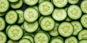 Qual maior produtor de pepino-japonês do mundo?