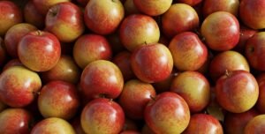 Qual país é o maior produtor de maçã do mundo?