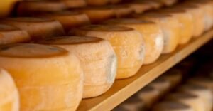 Queijos do Espírito Santo ganham ouro em competição nacional