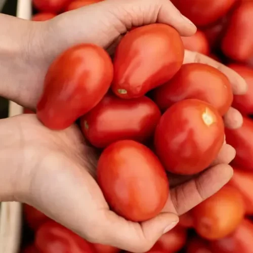 Chega de tomates sem graça: o truque espanhol que muda tudo