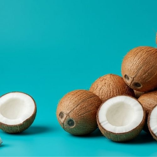 Qual país é o maior produtor de coco do mundo?
