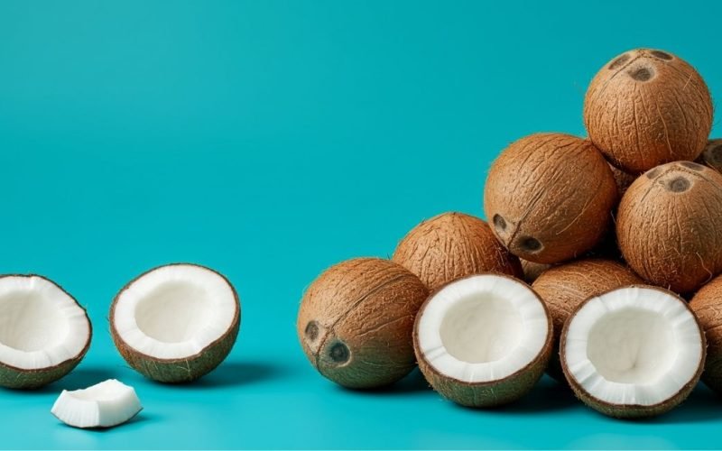 Qual país é o maior produtor de coco do mundo?